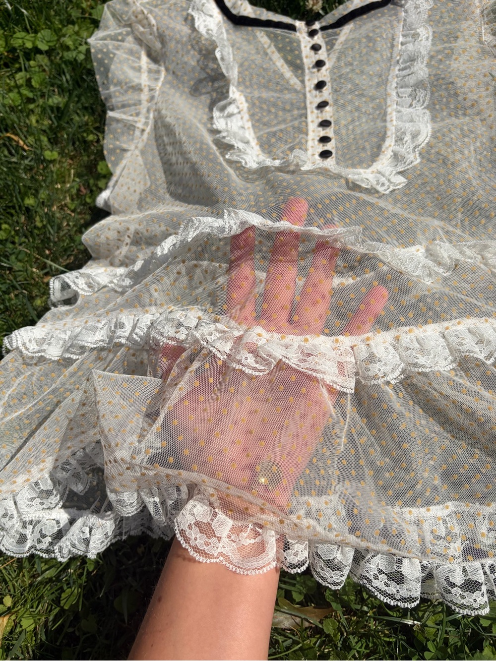 Anthropologie White Sheer Dot Mesh Top with Black Ties - Picture 3 of 6